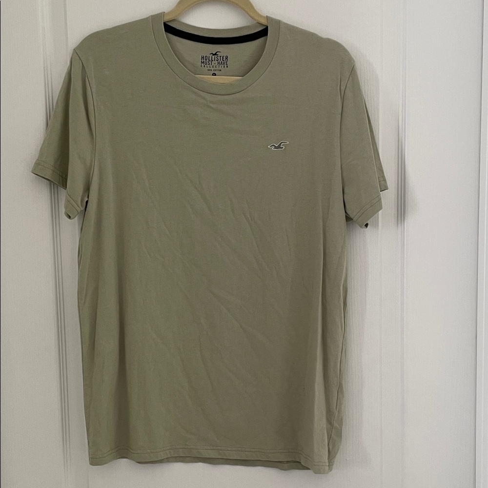 Hollister Men's Sage Short Sleeve Tee